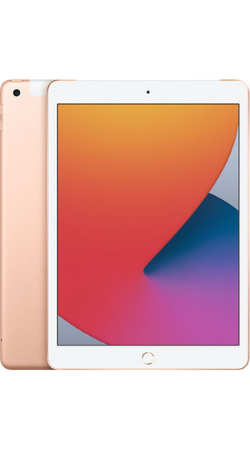 Apple iPad (8th gen)