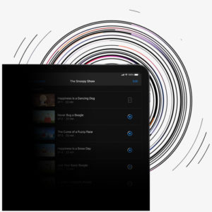 product specific image